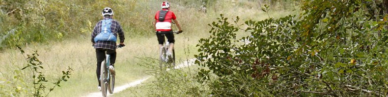 blog-summer-greenway