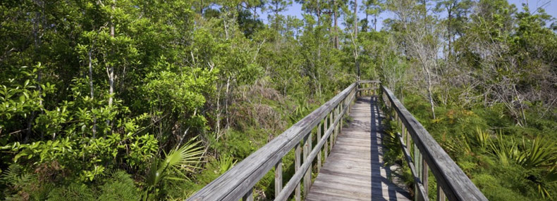 blog-summer-hikes-header