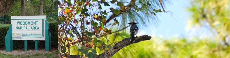 blog-summer-woodmont-natural-area