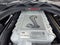 2022 Ford Mustang Shelby GT500 CARBON TRACK PACK PAINTED STRIPES & FULL PPF