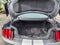 2022 Ford Mustang Shelby GT500 CARBON TRACK PACK PAINTED STRIPES & FULL PPF