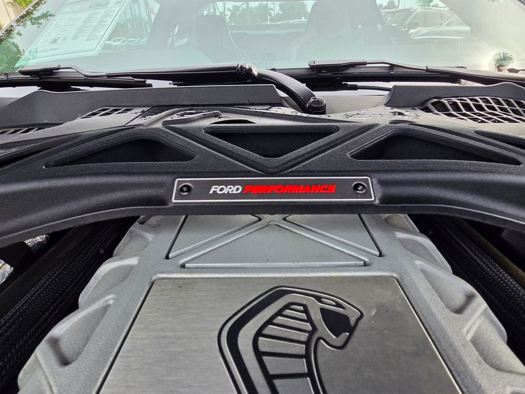 2022 Ford Mustang Shelby GT500 CARBON TRACK PACK PAINTED STRIPES & FULL PPF