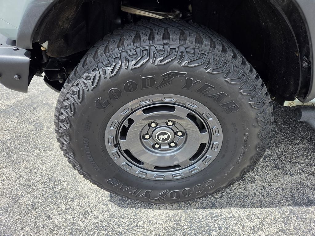 2024 Ford Bronco Everglades