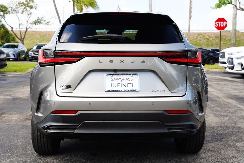 2024 Lexus NX 250 250 Premium
