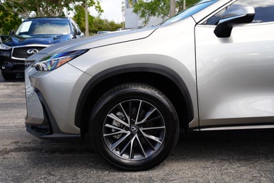2024 Lexus NX 250 250 Premium