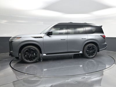 2026 INFINITI QX80 SPORT