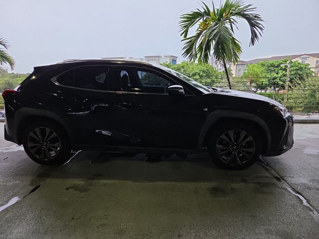 2019 Lexus UX 200 200 F SPORT