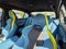 2024 BMW M3 Competition CARBON EXTERIOR, FULL MERINO, BIG STICKER!!!