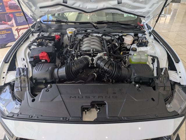 2025 Ford Mustang Dark Horse R