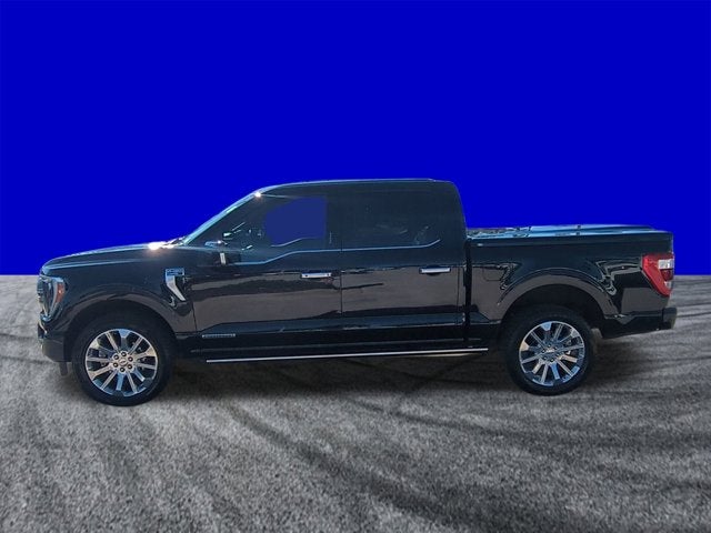 2023 Ford F-150 Limited