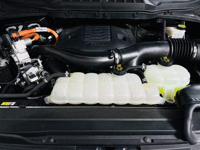 2023 Ford F-150 Base