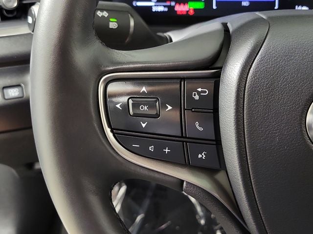 2025 Lexus UX 300h Premium