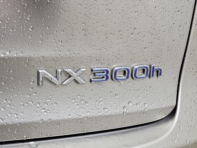 2018 Lexus NX 300h