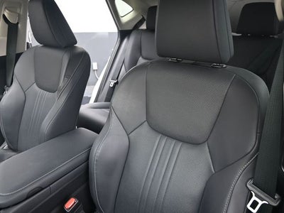 2024 Lexus NX 250 Premium