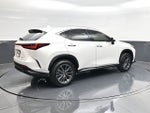 2024 Lexus NX 250 Premium