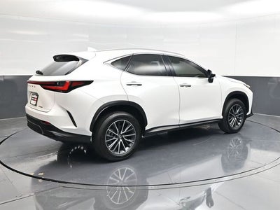 2024 Lexus NX 250 Premium