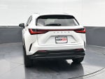 2024 Lexus NX 250 Premium