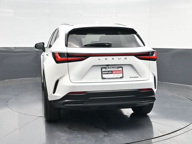 2024 Lexus NX 250 Premium