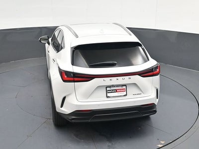 2024 Lexus NX 250 Premium