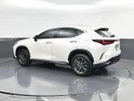 2024 Lexus NX 250 Premium