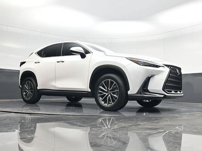 2024 Lexus NX 250 Premium