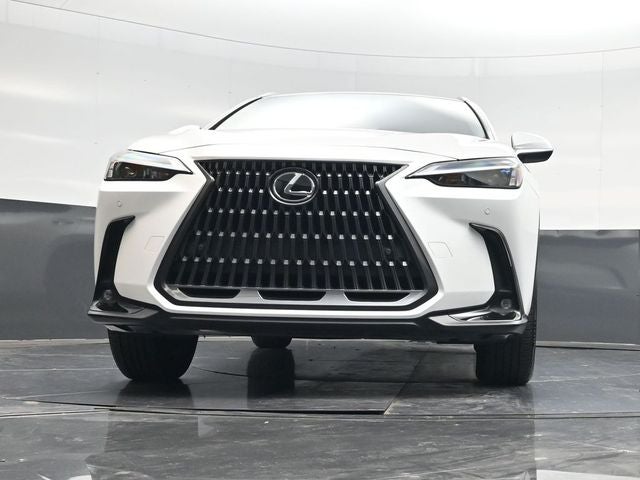 2024 Lexus NX 250 Premium
