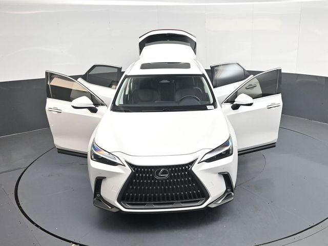 2024 Lexus NX 250 Premium