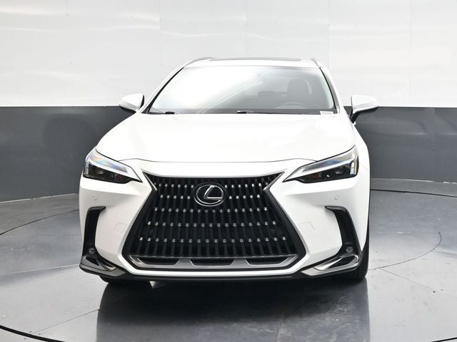 2024 Lexus NX 250 Premium
