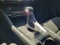 2025 Audi Q3 Premium