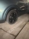 2025 Kia Carnival Hybrid SX