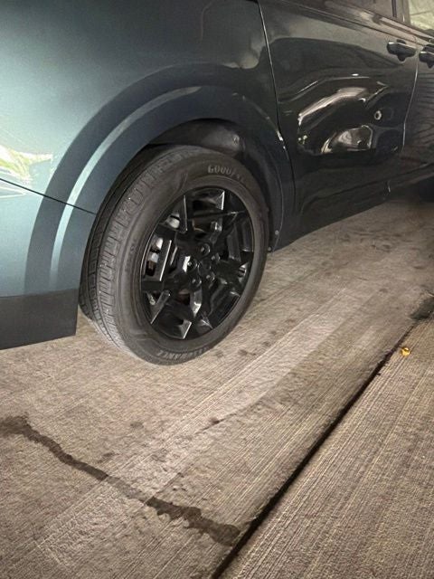 2025 Kia Carnival Hybrid SX
